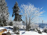Winterlandschaft_Bild-63a
